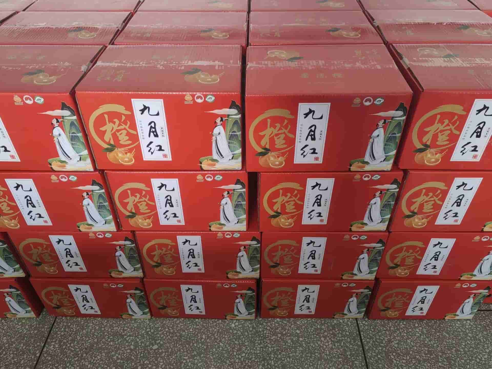 Focusens team conducting 2025 year-end inventory audit in warehouse